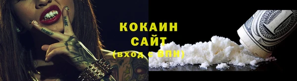 шишки Приозерск