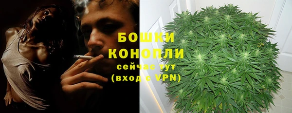 амф Бугульма