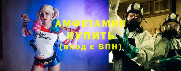 дурь Бородино
