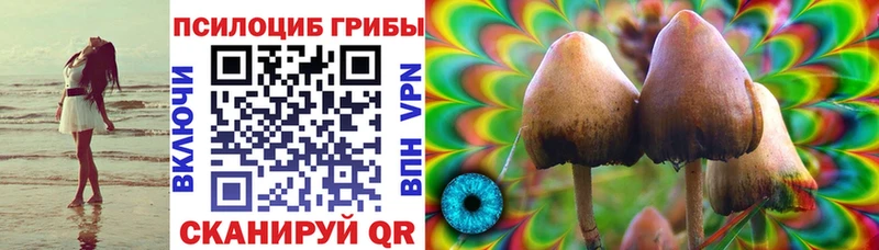 Псилоцибиновые грибы мухоморы Мценск