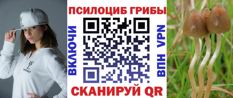 Псилоцибиновые грибы Psilocybine cubensis наркота Мценск